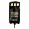 Trinity Double Down 4-Pole Brushless No Prep Drag Motor (6500kV) -Futaba Shop tritep2111